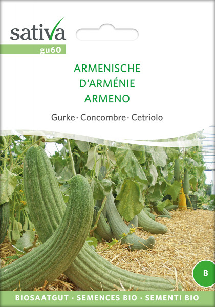 Gurke ARMENISCHE (Bio-Saatgut)