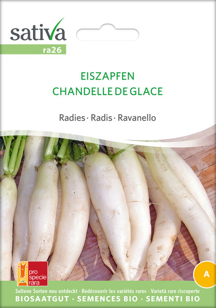 Radies 'EISZAPFEN' (demeter-Biosaatgut)