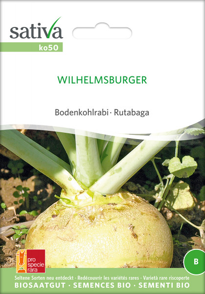 Bodenkohlrabi Wilhelmsburger (Saatgut demeter/PSR)