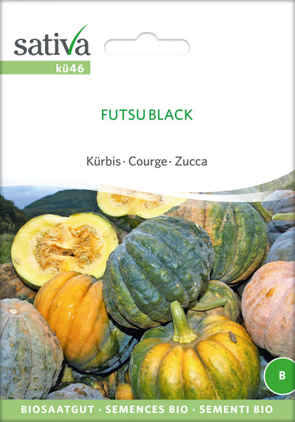 Kürbis 'FUTSU BLACK' (Saatgut - demeter)