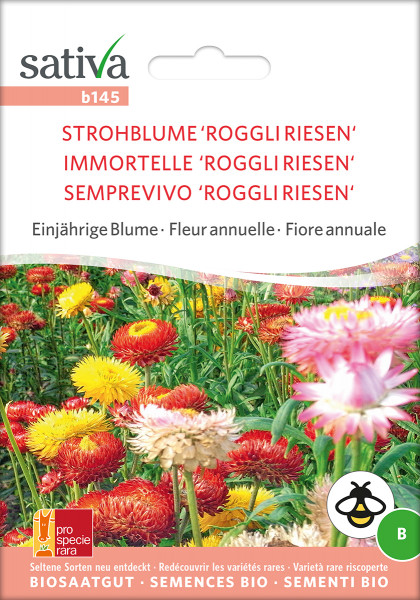 Strohblume