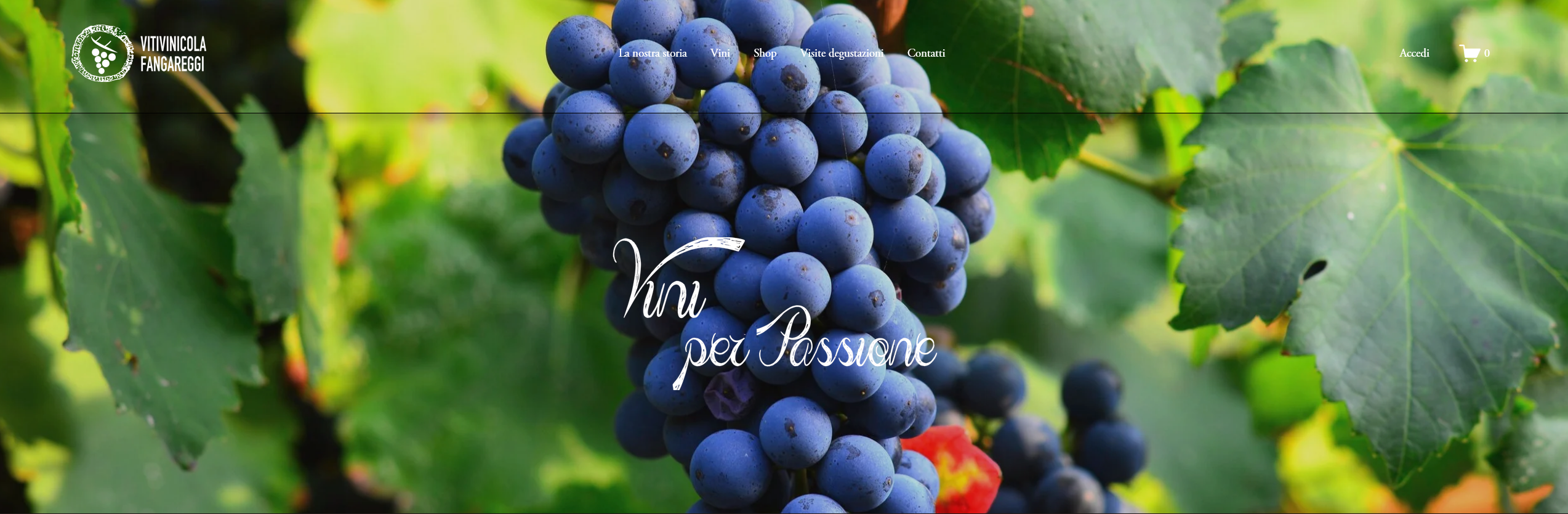 Vitivinicola Fangareggi