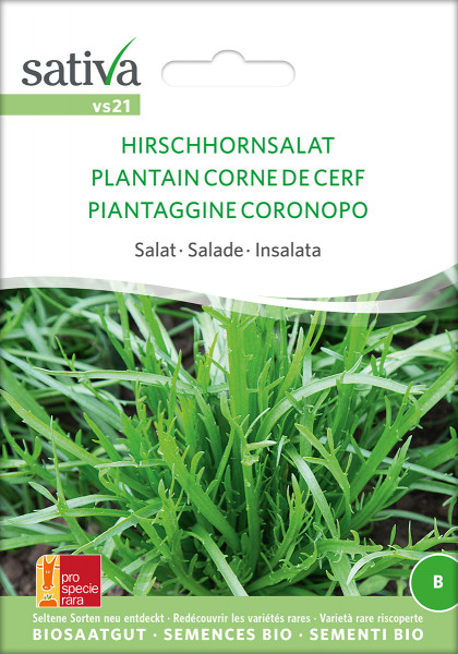 HIRSCHHORNSALAT (demeter Biosaagut /PSR)