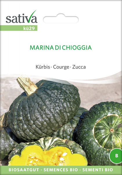 Kürbis MARINA DI CHIOGGIA (Bio-Saatgut)