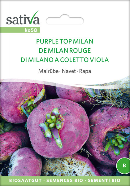 Mairübe - Purple Top Milan (Bio-Saatgut)