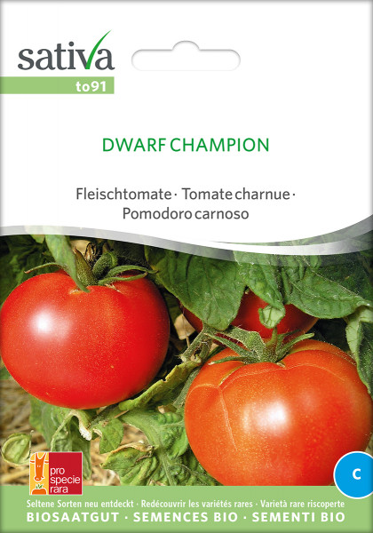 Tomate DWARF CHAMPION (PSR-Sortenrarität)