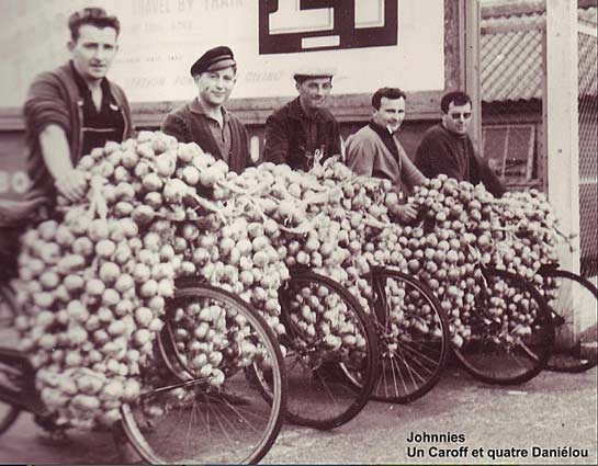 Syndicat de Défense de AOC Oignon de Roscoff