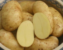 Heideniere - Kartoffel des Jahres 2015
