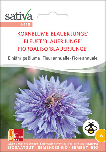 Kornblume BLAUER JUNGE (Bio-Saatgut)