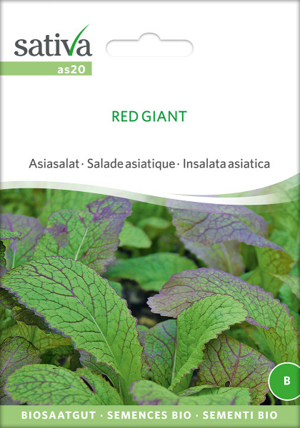 Asia-Salat 'RED GIANT' (demeter-Biosaatgut)