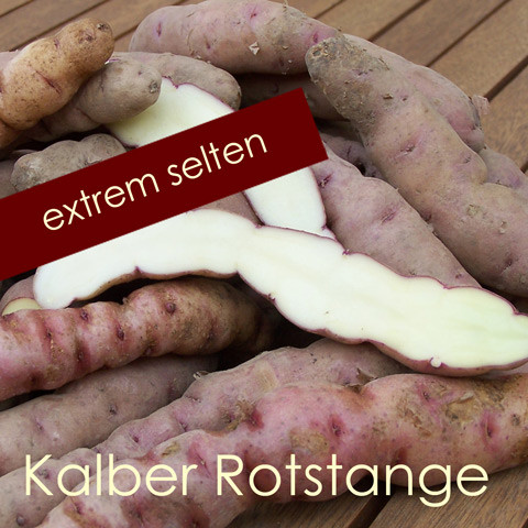 Kalber Rotstange [vf]