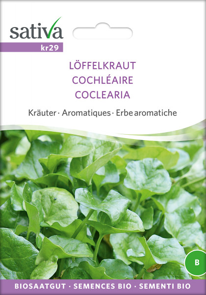 Löffelkraut (Bio-Saatgut)