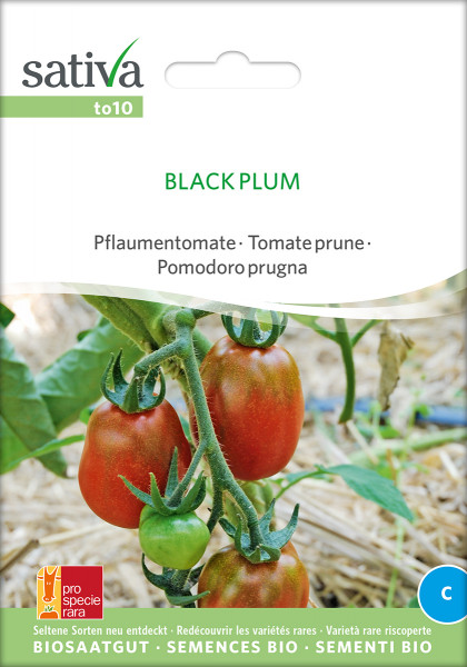 Tomate BLACK PLUM (Bio-Saatgutrarität/ PSR)