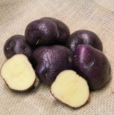 54+ Hof Jeebel Kartoffeln, Huhu liebe freunde des kartoffelanbaus!