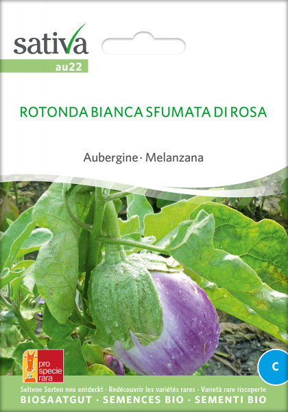 Aubergine ROTONDA BIANCA SFUMATA (Saatgut demeter/PSR)