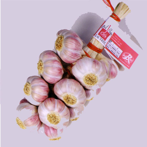 Rosa Knoblauch aus dem Tarn g.g.A.