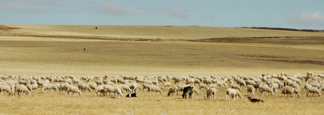 Kastillien-La Mancha (Castilla-La Mancha)