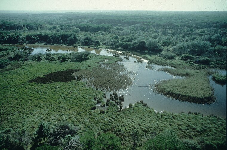 Parco Naturale di Migliarino San Rossore