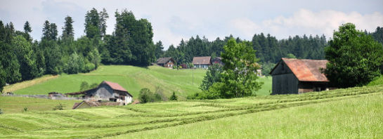 St. Gallen